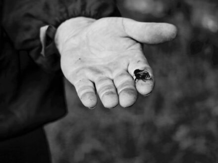 Find out more: Bee Day